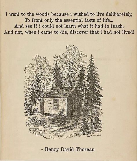 Walden Henry David Thoreau, A Cabin, Cabin In The Woods, Poetry Words, Wild Nature, Life Facts, Quotable Quotes, Pretty Words, In The Woods