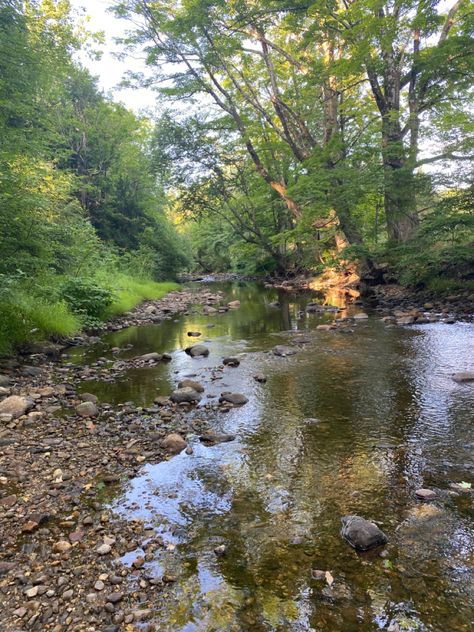 River Restoration, Creek Forest, Pond Photography, Landscape Acrylic, Watercolour Landscape, Maybe In Another Life, Wild Forest, In Another Life, Cool Sketches