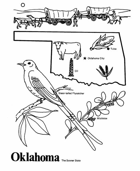 Oklahoma Culture Coloring Pages, State Report Projects, Oklahoma Art, Oklahoma History, State Symbols, State Birds, State Outline, Leg Sleeve, Cycle 3