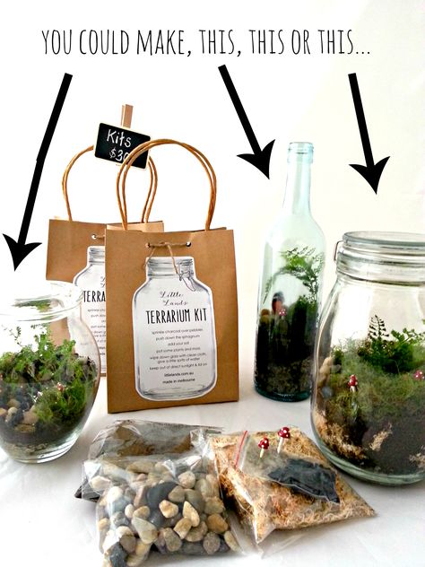 Terrarium Kit Terrarium Kit Gift, Planting Party, Terrariums Diy, Wall Terrarium, Terrarium Workshop, Build A Terrarium, Terrarium Gifts, Diy Terrarium Kit, Terrarium Kit