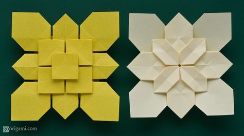 Origami tessellations by Shuzo Fujimoto - Clover and Hydrangea Tessellations. Folded from a single sheet of paper. Links to video tutorials and diagrams. Origami Hydrangea, Flat Origami, Origami Wall Art, Origami Boxes, Origami Star Box, Origami Videos, Origami For Beginners, Origami Dragon, Origami Fish