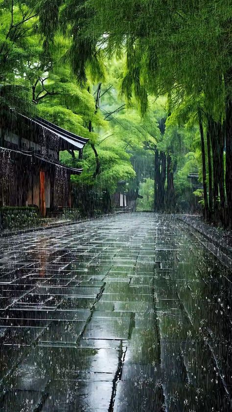 Rainy Day Photography, System Wallpaper, Gold Wallpaper Background, Best Nature Images, Best Nature Wallpapers, Amazing Nature Photos, Sound Of Rain, Beautiful Locations Nature, Beautiful Places Nature