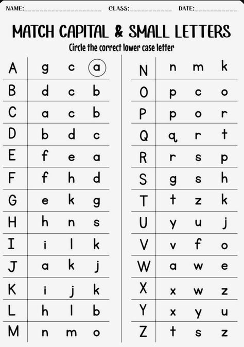 Capital Letters And Small Letters, Small Letter Alphabet Worksheet, Match Capital To Small Letters, Capital And Small Letters Worksheets, Capital Letters Worksheet, Capital And Small Letters, Literacy Activities Preschool, Capital Alphabet, Small Alphabets