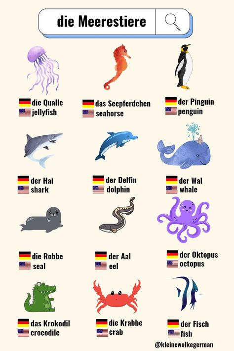 German Vocabulary: Sea Animals- Learn German Vocabulary: Sea Animals - die Meerestiere - Almanca Deniz Hayvanları- Deutsch lernen, Learn German, German Vocabulary beginner, German Vocabulary Pictures, , German Vocabulary List, Almanca Öğrenme ,Almanca kelime listesi German Vocabulary List, Love Quotes From Literature, Indie Quotes, German Phrases Learning, German Tv Shows, German Vocabulary, Study German, German Study, German Phrases