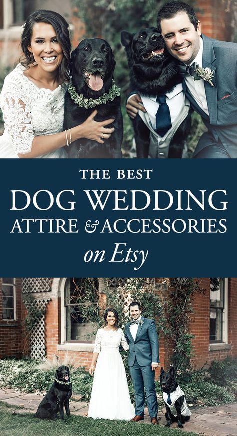 Backyard Wedding Attire, Wedding Reception Attire, Backyard Wedding Reception, Dog Wedding Outfits, Dog Wedding Attire, Dog Tuxedo, Wedding Backyard Reception, Beautiful Wedding Reception, Wedding Backyard