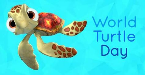 National Turtle Day, World Turtle, World Turtle Day, Animal Magazines, Turtle Day, Adventure Film, Walt Disney Pictures, Clown Fish, Comedy Films