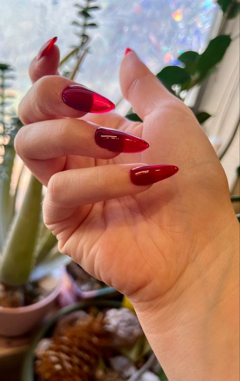 Red translucent almond shape jelly nails Translucent Red Nails, Red Clear Nails, Dark Red Jelly Nails, Red Jelly Nails, Vampire Royalty, Translucent Nails, Red Stiletto Nails, Red Jelly, Healthy School