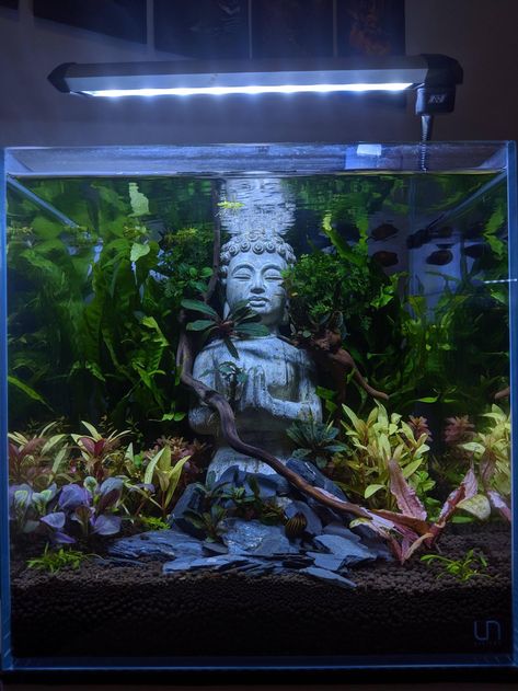 Diy Fish Tank Decorations, Aquarium And Plant Room, Buddah Theme Fish Tank, Japanese Theme Fish Tank, Goth Fish Tank, Aesthetic Fishing, Fish Quotes, Cool Fish Tank Decorations, Fish Aesthetic