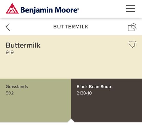 Buttermilk 919 Benjamin Moore Buttermilk Benjamin Moore, Benjamin Moore Buttermilk, Seeds Color, Benjamin Moore Colors, Design Seeds, Rich Textures, Benjamin Moore, Paint Color, Buttermilk