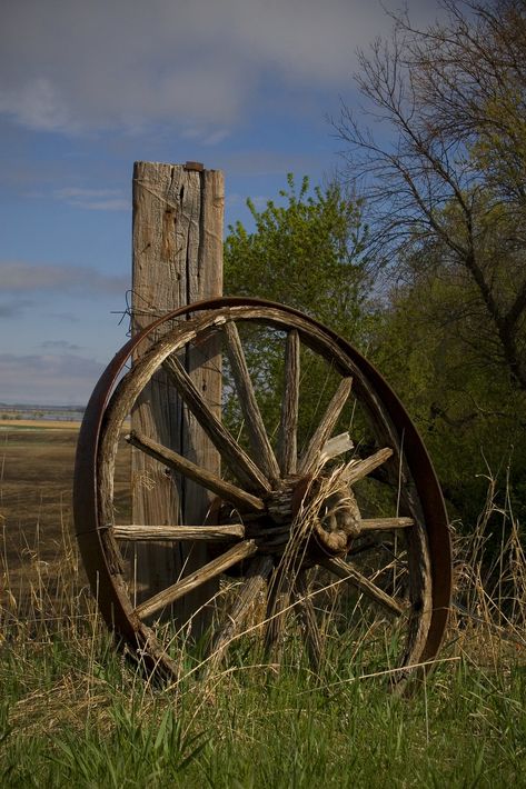 Rustic Cabins, Country Fences, Barn Pictures, Old Wagons, Wooden Wagon, Country Barns, Wilde Westen, Old Fences, Skull Painting