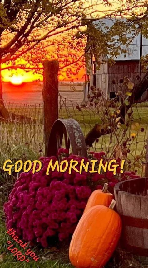 Good Morning First Day Of Fall, Autumn Good Morning Images, Fall Good Morning Quotes, Fall Sunday Morning Quotes, Good Morning Fall Quotes, Fall Good Morning, Autumn Good Morning, Good Morning Fall Images, Happy Fall Quotes