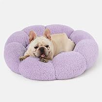 Flower Donut, Cute Dog Beds, Large Dog Bed, Puppy Bed, Fluffy Puppy, Round Dog Bed, Medium Dog Bed, Donut Dog Bed, Flower Cat