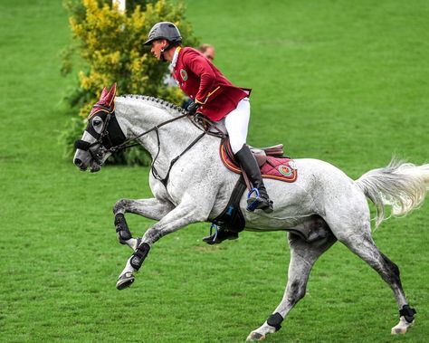 Showjumping Aesthetic, Global Champions Tour, Horsey Life, Horse Riding Aesthetic, Show Jumping Horses, Equestrian Aesthetic, Horse Anatomy, Horse Aesthetic, Horse Videos