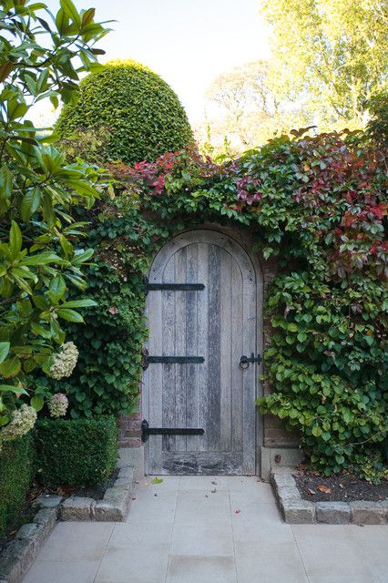 Lawn Free Yard, Mini Garden Decor, Huge Planters, Secret Garden Door, Ideas For Front Yard, Gate Design Ideas, Spanish Bungalow, Garden Door, Garden Frame