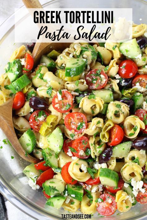 Pasta Salad With Feta Cheese, Greek Tortellini Pasta Salad, Salad Tortellini, Pasta Salad With Feta, Greek Tortellini, Tortellini Pasta Salad Recipes, Greek Tortellini Salad, Light Dishes, Homemade Greek Dressing