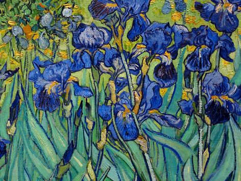 Van Gogh's irises Irises Van Gogh, Van Gogh Iris, Van Gogh Wallpaper, The Getty Center, Van Gogh Irises, Getty Center, Famous Paintings, Irises, Van Gogh