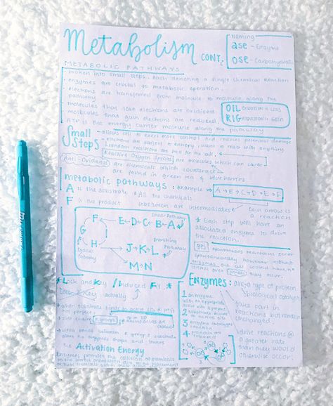 Metabolism Notes, Nursing School Essential, A Level Biology, Neat Handwriting, Reactive Oxygen Species, Aesthetic Notes, Nursing School Notes, Teaching Biology, Science Notes