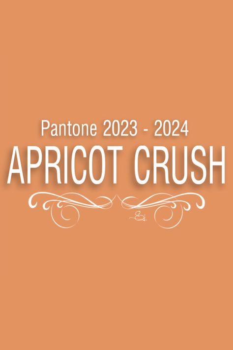 Pantone 2024, Apricot Crush, Pantone Colours, Pantone Colour Palettes, Pantone Colors, Fall Color Palette, French Cooking, Peach Fuzz, Trends 2024