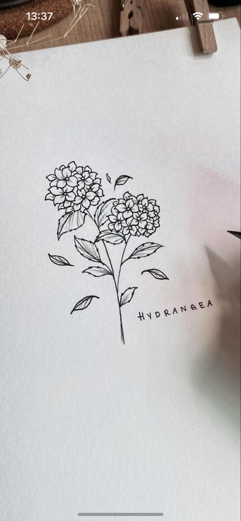 Hortensia Flower Drawing, Hydrangea Tattoo Ribs, Hydrangea Outline Tattoo, Black Hydrangea Tattoo, Fine Line Tattoo Hydrangea, Carnation Flower Bouquet Tattoo, Hydrangea Line Tattoo, Hydrangea Tattoo Small Black, Hydrangea Rib Tattoo