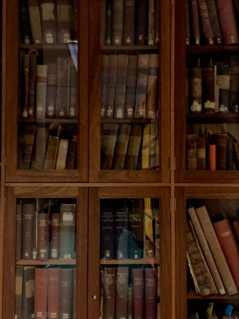 books in a glass cabinet Remus Lupin Room Aesthetic, Remus Lupin House, Fem Remus Lupin Aesthetic, Percy Weasley Aesthetic, Remus Lupin Aesthetic Wallpaper, Moony Remus Lupin Aesthetic, Otgw Party, Neville Longbottom Aesthetic, Remus Lupin Moony