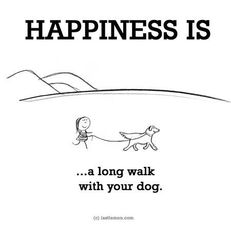 Walking Quotes Funny, Dog Walking Quotes, Walking Quotes, Dogs Walking, Famous Dogs, Me And My Dog, Dog Quotes Funny, Komodo, Long Walks