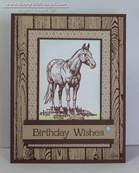 Horse Cards, Masculine Birthday Cards, Boy Cards, Birthday Cards For Men, Stamping Up Cards, Animal Cards, Male Cards, Masculine Cards, Special People