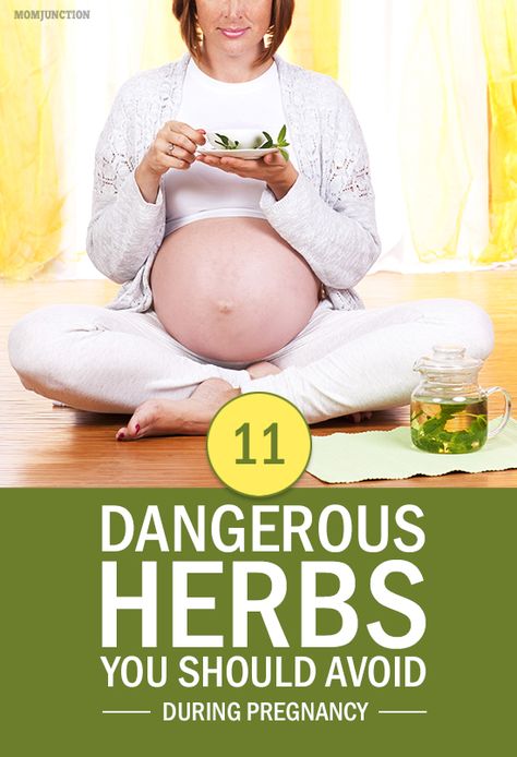 11 Dangerous Herbs To Avoid During Pregnancy Cold While Pregnant, Pregnancy Herbs, Pregnancy List, Tea For Cough, Pregnancy Remedies, Prenatal Health, Natural Headache Remedies, Medicine Book, Natural Pregnancy