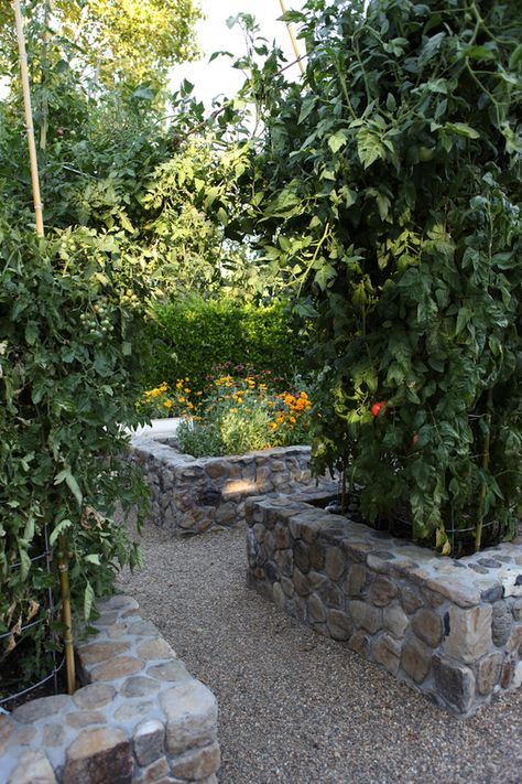 Stone raised beds Stone Raised Beds, Terraced Backyard, Garden Goals, Backyard Dreams, Garden Border, Diy Raised Garden, Potager Garden, Growing Veggies, Garden Area