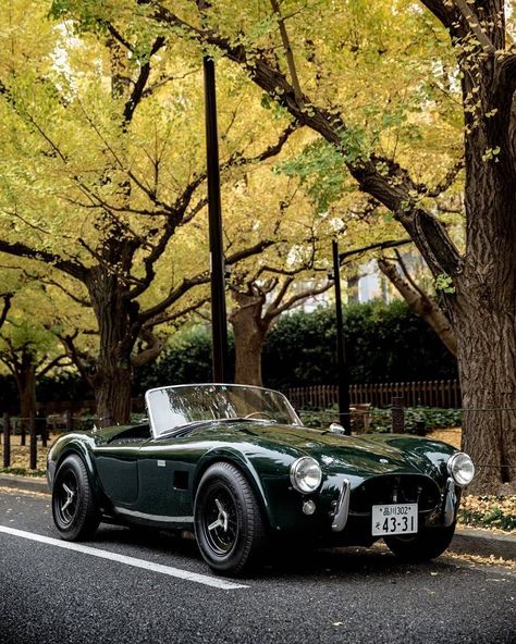 Shelby Cobra 427, 427 Cobra, Old Vintage Cars, Snake Charmer, Ac Cobra, Shelby Cobra, Classy Cars, Pretty Cars, Us Cars