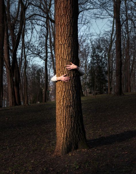 Film Storyboard, Hugging Tree, Hug A Tree, Ap Portfolio, Creature Ideas, Ideas Illustration, Shadow People, Hanging Upside Down, Tree Day