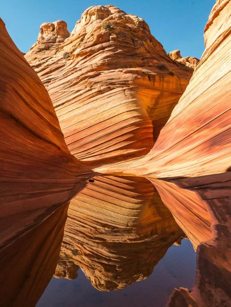 Best Hikes in Utah: 14 Epic Trails for your Bucketlist - MAPPED! – Bearfoot Theory The Wave Utah, Mountain Cowgirl, Hikes In Utah, Utah Hiking, Utah Trip, Hiking Places, Utah Vacation, Grand Staircase Escalante, Zion Canyon