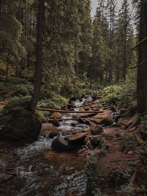 Mountain Aethestic, Mountain Living Aesthetic, Mountain Village Aesthetic, Mountain Forest Aesthetic, Cottagecore Mountain, Karpaty Ukraine, Megan Core, Mountain Core, Wilderness Aesthetic