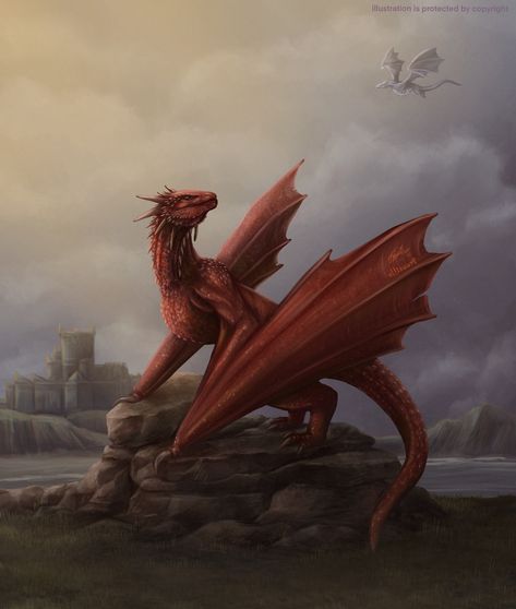 ❤️ Meleys -  The Red Queen ❤️, Ellizaart Meyles And Rhaenys, Rhaenys And Meleys, Meleys The Dragon, Meleys Dragon Art, Meleys Dragon Tattoo, Meleys Dragon, House Of Dragon Meleys, House Of The Dragon Dragons, Red Dragon Art