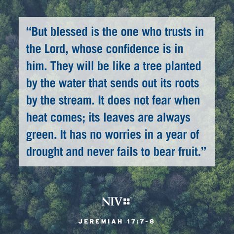 Niv Bible, Beautiful Scripture, Encouraging Scripture, Christian Bible Verses, Do Not Fear, Spiritual Inspiration, Verse Of The Day, Scripture Quotes, Bible Inspiration