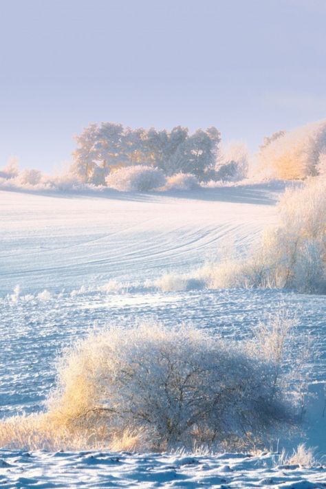 Late Winter Aesthetic, Snow Aesthetic Landscape, Snow Field, Frosty Landscape, Snow Garden Aesthetic, Snowy Field Aesthetic, Snowy Farm, The Darkling, Dreamy Landscapes