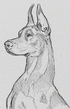 Art Dog Drawing, Dog Tutorial Drawing, Drawing Animals Ideas, Drawing Sketches Animals, Dog Drawing Sketches, How To Draw A Dog, Pics To Draw, Drawing Ideas Animals, Dog Art Drawing