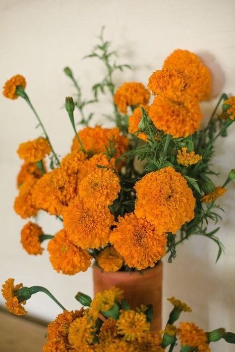 Flowers 🌺 on Twitter: "… " Marigold Flowers Wedding, Marigold Wedding Bouquet, Marigold Flower Aesthetic, Marigold Aesthetic, Marigold Flower Decoration, Marigold Bouquet, Marigold Decor, Orange Marigolds, 29 Palms