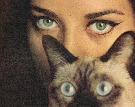 She And Her Cat, Art Amour, Cocoppa Wallpaper, Season Of The Witch, The Villain, Photography Inspo, Hippie Style, Pretty Pictures, A Cat