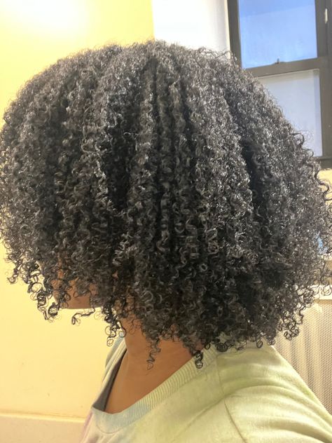 Type 4a Hair, Natural Curly Hairstyles, Healthy Black Hair, Ringlet Curls, Cabello Afro Natural, 4b Hair, 4a Hair, Beautiful Black Hair, Quick Natural Hair Styles