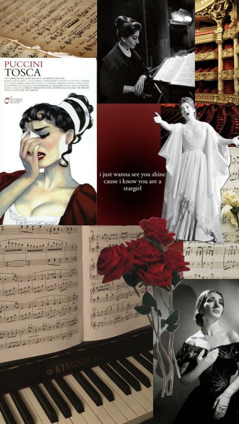 Classical Singer Aesthetic, Opera Wallpaper, Opera Aesthetic Dark, Classical Singing Aesthetic, Opera Astethic, Phantom Of The Opera Movie Aesthetic, Carmen Opera Aesthetic, Opera Aesthetic, Opera Singer Aesthetic