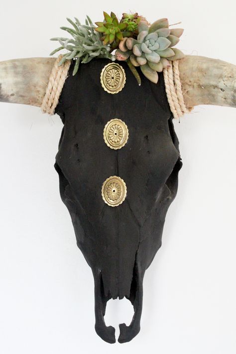 Diy Cow Skull Ideas, Bull Skull Decor, Skull Succulent, Deer Skull Decor, Deer Skull Art, Mystical Decor, Painted Skulls, Painted Cow Skulls, Skull Ideas