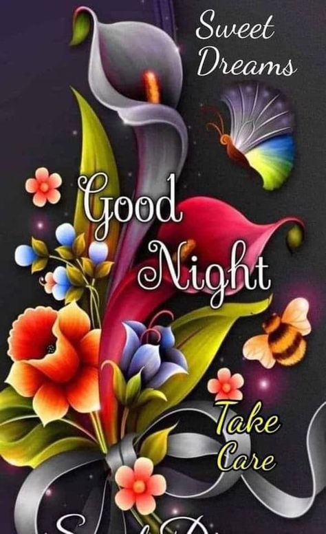 Sweet Dreams Good Night, Heartwarming Quotes, Evening Pictures, Lovely Good Night, Good Night Love Messages, Images With Quotes, Good Night Everyone, Good Night Images, Dream Night