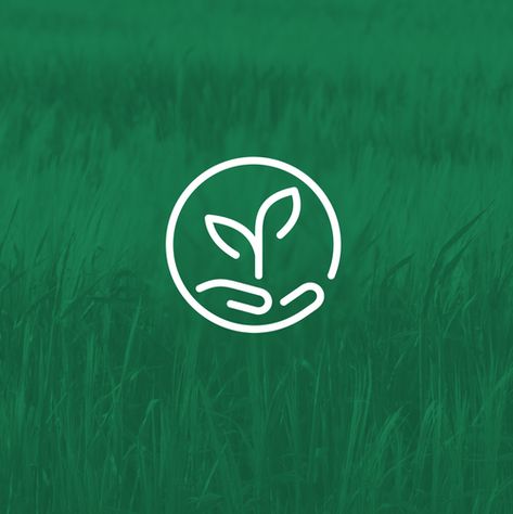 Organic Branding Design, Eco Logo Design, Organic Branding, Green Branding, Organic Logo Design, Pc Photo, Agriculture Logo, Plant Logos, Nature Logo Design