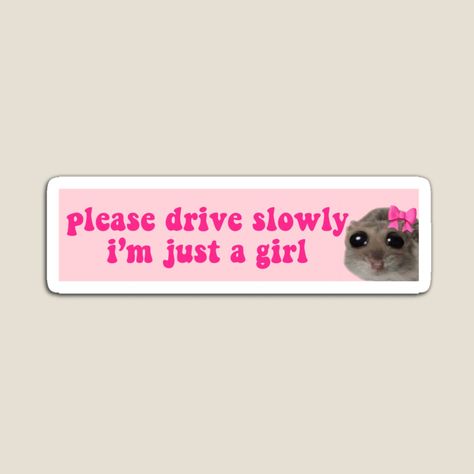 new driver coquette, drivers license, new driver stickers, car safety, car stickers, coquette sad hamster,pink bow hamster,bumper stickers,bumper stickers aesthetic,bumper stickers funny,bumper sticker ideas,bumper stickers on car,bumper sticker design,bumper stickers cute,bumper sticker on a bentley,bumper stickers aesthetic funny,bumper sticker car,bumper sticker tattoos,bumper sticker placement,bumper stickers funny,bumper stickers for women,bumper stickers funny hilarious,bumper stickers Sticker Placement Ideas, Bumper Sticker Ideas, Bumper Stickers Aesthetic, New Driver Sticker, Hilarious Bumper Stickers, Stickers On Car, Bumper Stickers Funny, Girly Stickers, Aesthetic Funny