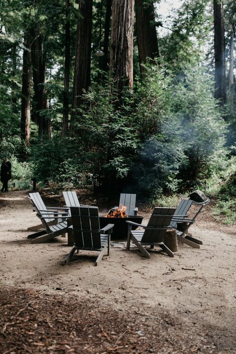 Bridge House Wedding at Glen Oaks Big Sur // Brandon Scott Photo Co. Big Sur Wedding Venues, Pfeiffer Beach, Brandon Scott, Bridge House, Redwood Wedding, Big Sur Wedding, California Elopement, Dog Walker, Sunset Photos