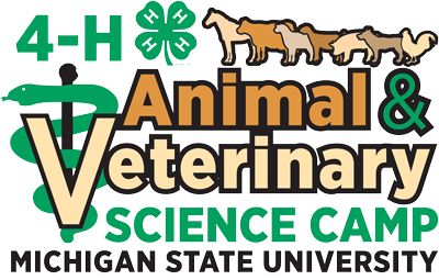 4-H Animal Vet Science Camp logo with animals Veterinary Science Project Ideas, Veterinary Games, Vet Science 4h Project, Animal Science High School, Middle School Animal Science, Summer Camping Aesthetic, Vet Science, Animal Vet, Tent Camping Beds