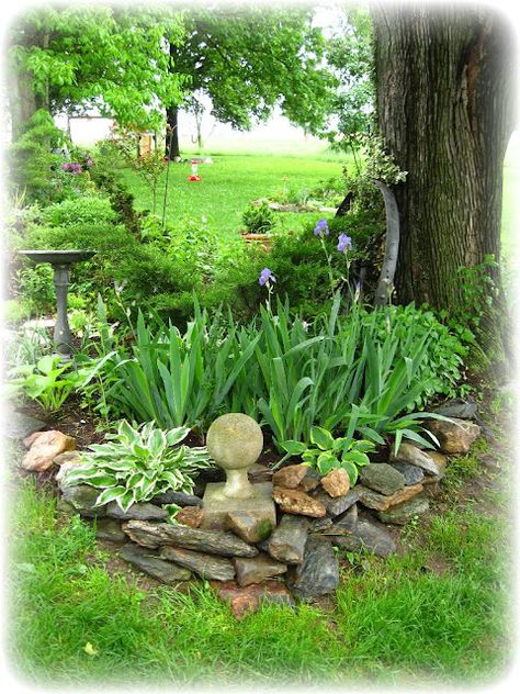 Rock Wall Garden, Rock Wall Gardens, Shade Garden Design, Landscaping Around Trees, Cottage Garden Design, Shade Perennials, Walled Garden, Rock Garden Landscaping, Most Beautiful Gardens