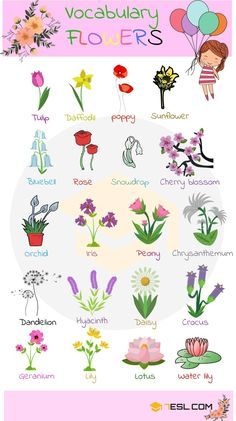 Flowers Name In English, Vocabulary In English, Learning English For Kids, English Vocab, Kids English, English Language Teaching, English Activities, Flower Names, Learn English Vocabulary