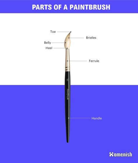 A paintbrush is a tool used for applying paint. It is typically made by fastening the bristles to a wooden or plastic handle with the help of a ferrule. This tool can be subdivided into two categories, which are decorators’ brushes and artists’ brushes. Here we’ll discover every major part of a paintbrush. Art Terminology, Oil Painters, Water Based Paint, Teaching Art, Paint Brushes, Budget Friendly, Art Inspo, Wall Painting, Art Supplies