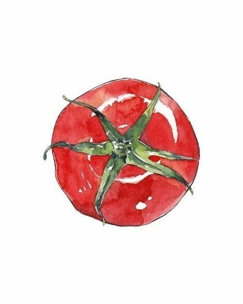 Watercolour Fruit, Watercolor Tomatoes, Good Objects, Objects Illustration, Watercolor Food Illustration, Fruits Drawing, Food Sketch, Watercolor Food, Watercolor Fruit